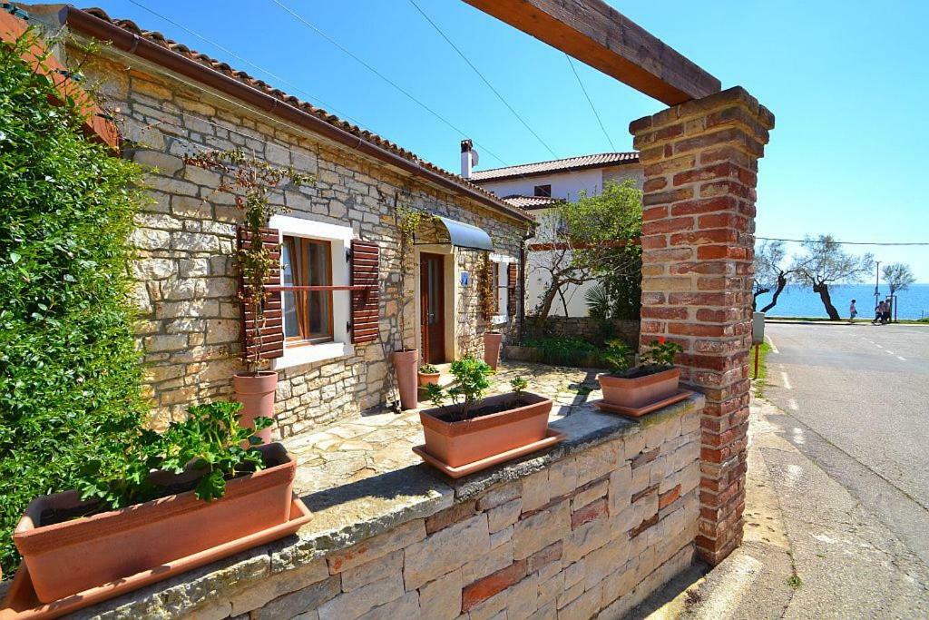 Villa Giardin Novigrad  Exterior photo